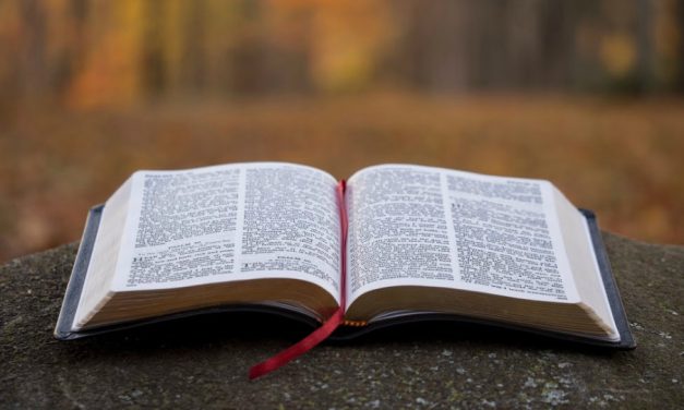 Proč je Bible důležitá i v dnešní době